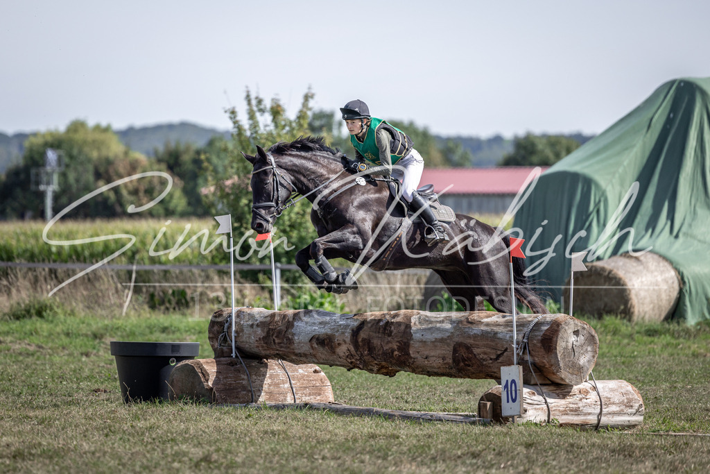 20250907-_3LI1588 | Tierfotografie Pferde, Hunde, Katzen, Haustiere.
Turnierfotografie Reitturniere, Reiten, Springreiten, Dressur in Hanau, dem Main-Kinzig-Kreis und dem Rhein-Main- Gebiet um Frankfurt