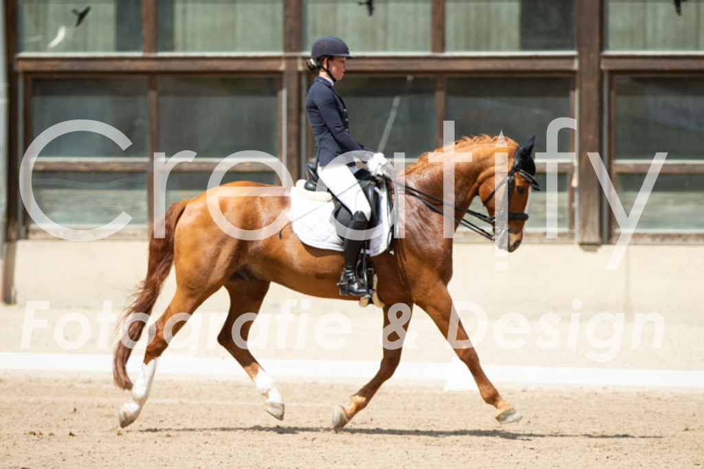 IMG_5745 | Creatify Fotografie