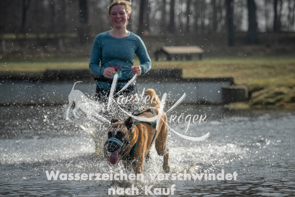 1028_ZZ97798 | kk-dogfotos
