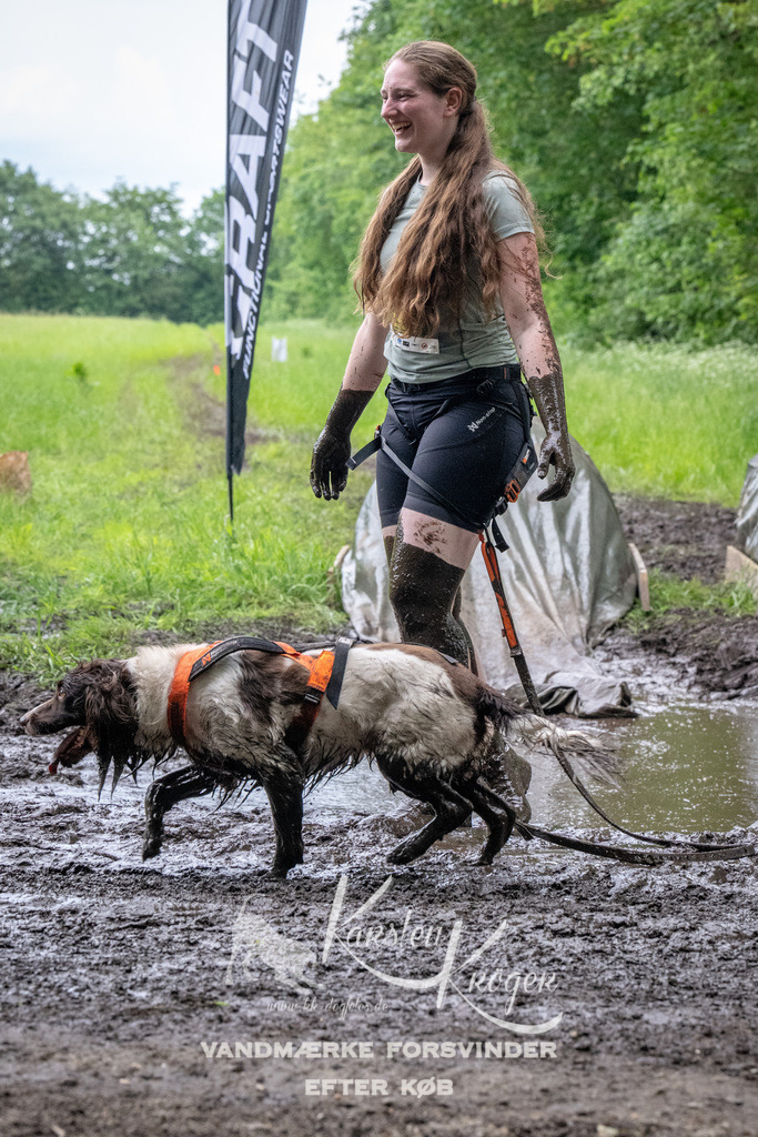 1643_ZZ90213-Bearbeitet | kk-dogfotos