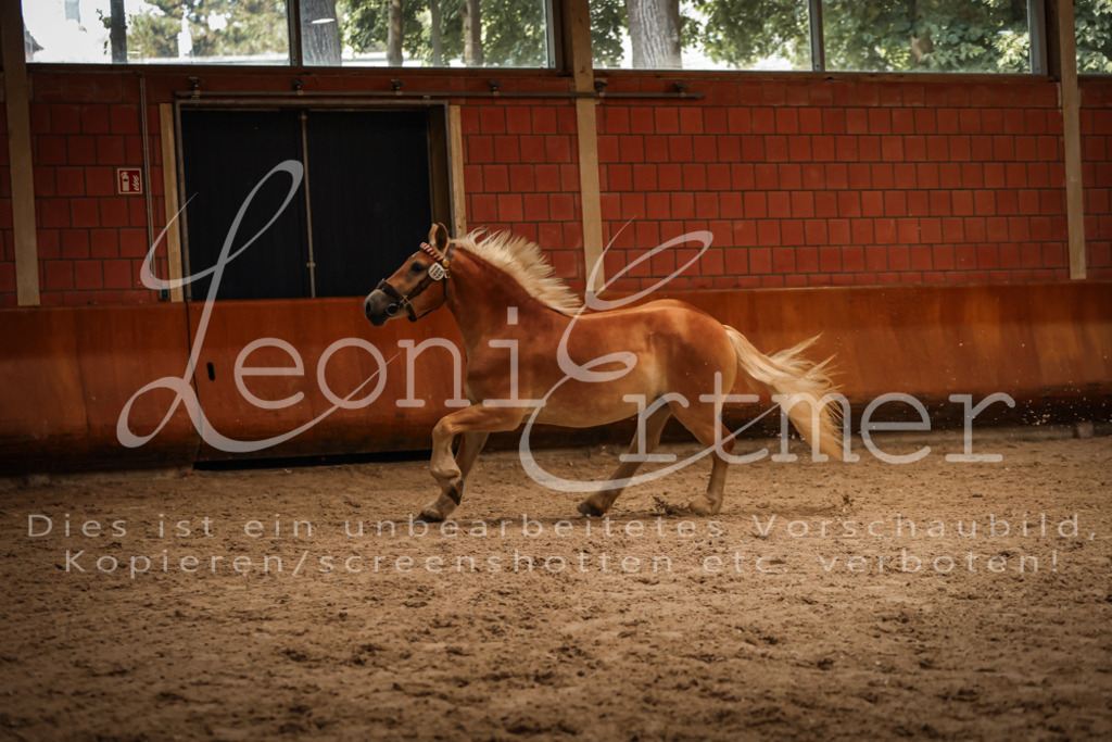 SaFL00211 | Leoni Ertmer Photography - Realisiert mit Pictrs.com