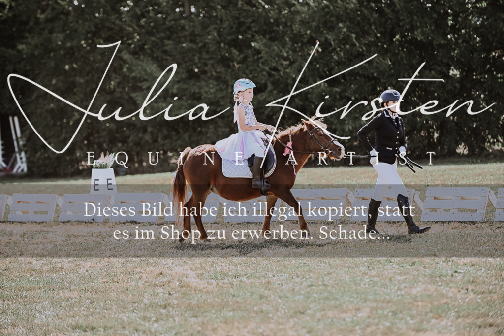 DSC_9033 | Pferde- und Turnierfotografie in Westsachsen. Pferdeportraits, Auftragszeichnungen und intuitive Kunst.