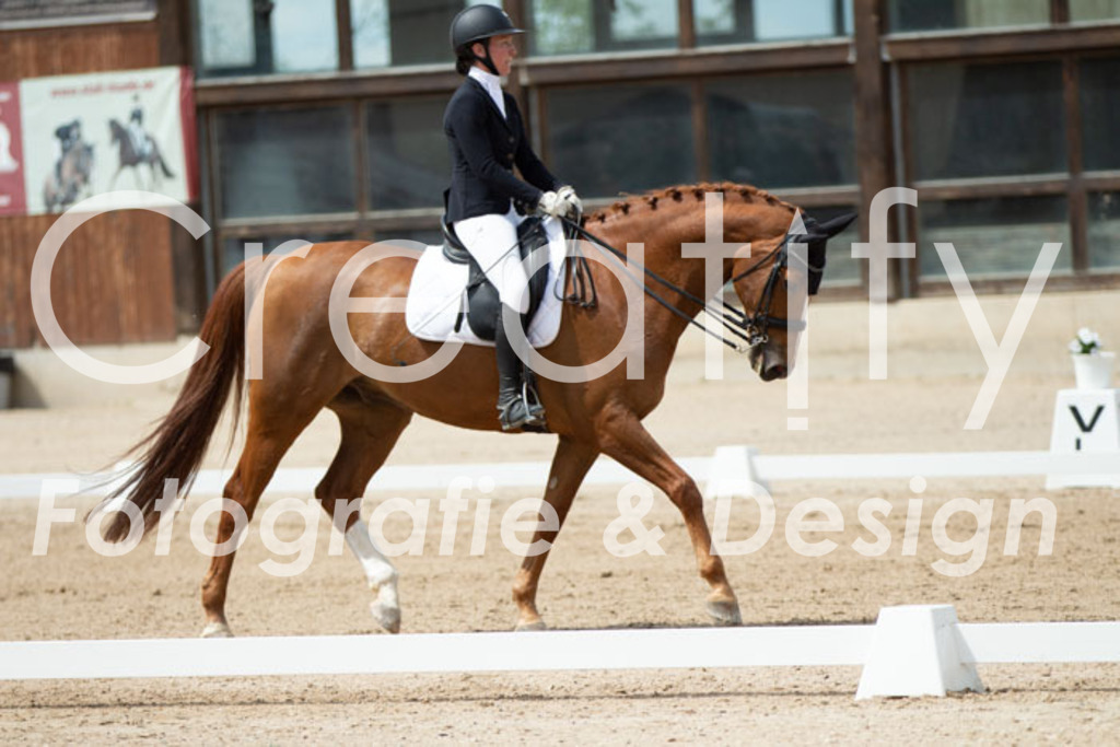 IMG_6141 | Creatify Fotografie