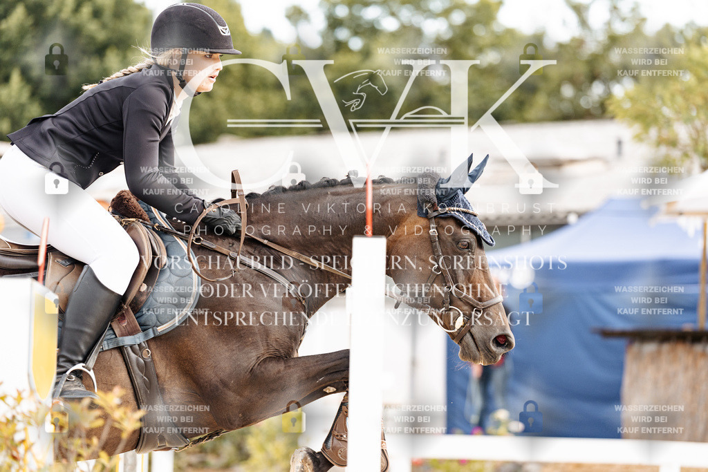 CK902760 | Turnierfotografie Pferdefotografie Trier Rheinland-Pfalz Pferdesport Reitsport Tierfotografie Sportfotografie Pferdevideo Pferdevideografie Equestrianvideography equestrianphotography  - Realisiert mit Pictrs.com