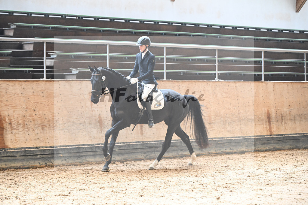 Kat-Nr. 8 Selma v. Don Royal_Eder_50250314 | hf-fotografie - Realisiert mit Pictrs.com