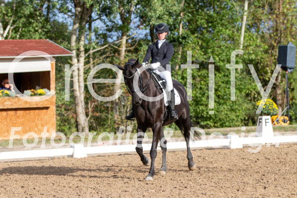 IMG_6217 | Creatify Fotografie