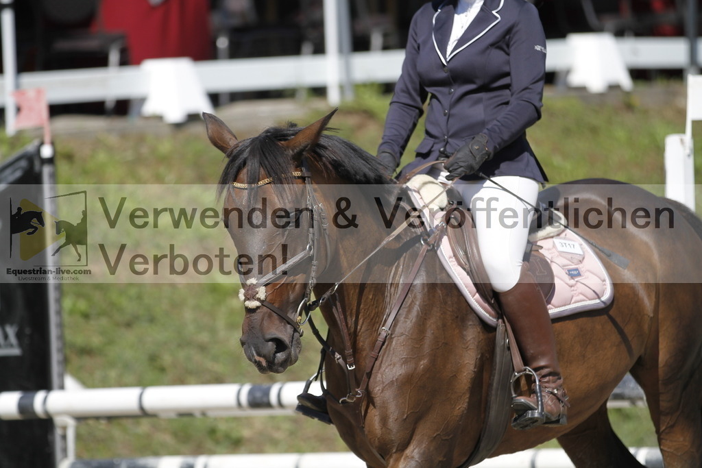 _MG_4370 | equestrian-live-com
