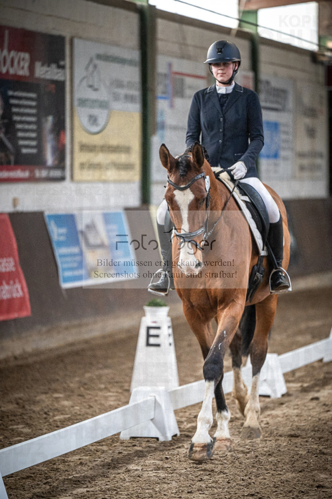 DOS_0199 | Entdecke hochwertige Reitturnierfotos von Foto Oger. Professionell, emotional und authentisch – jetzt Lieblingsmomente im Shop bestellen.Deutschlandweite Turnierfotografie. - Realisiert mit Pictrs.com