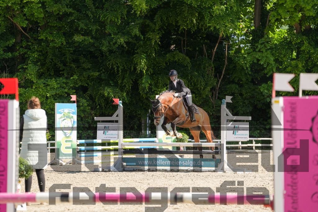 DSC02062 | Julian Held Fotografie - Realisiert mit Pictrs.com