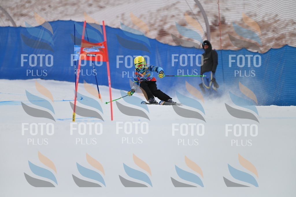 BGV_0282 | holidayphoto