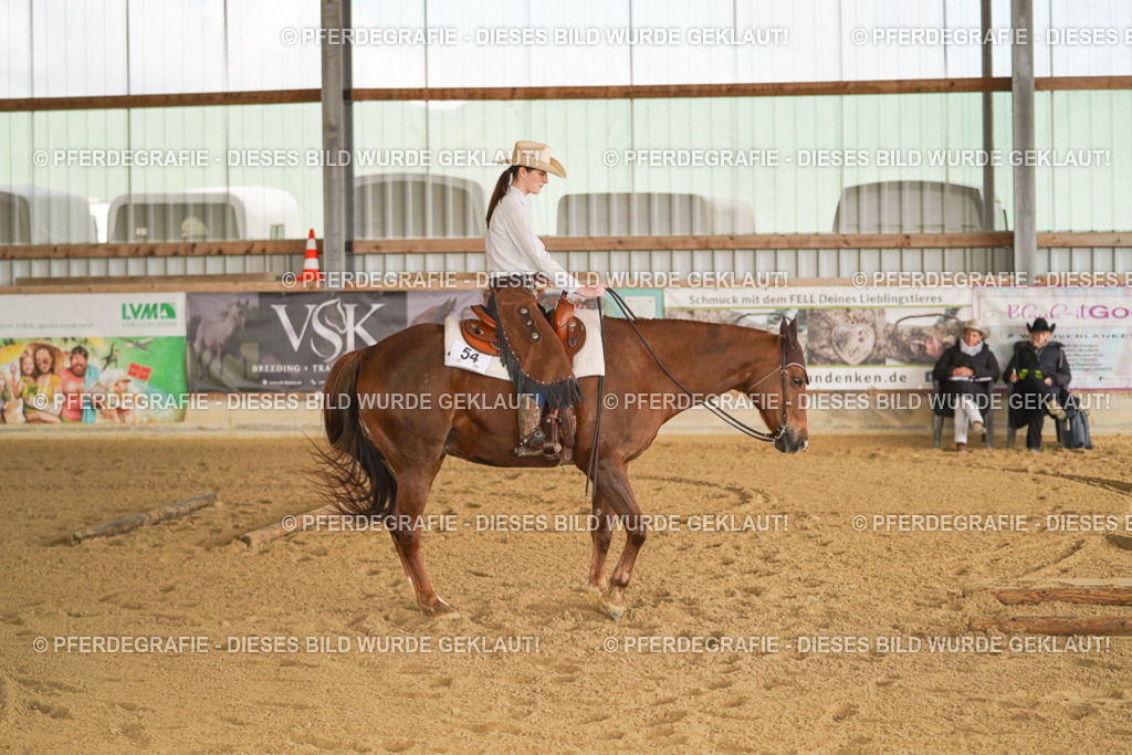 DSC01530 | Pferdegrafie