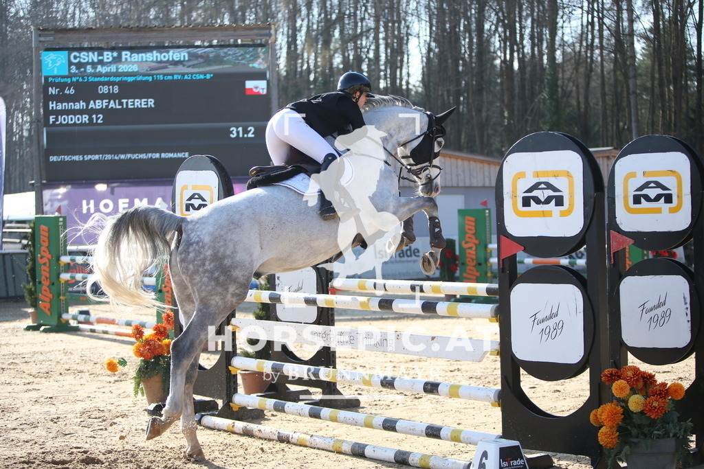 AS8V5138 | Willkommen bei Brunnmayr - Design & Fotografie – Ihrem Spezialisten für Reitturniere und Pferdeveranstaltungen in Oberösterreich, Salzburg und Bayern! Seit über 17 Jahren sind wir leidenschaftlich dabei.