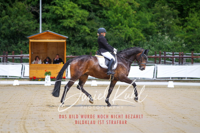 DKP45845 | Turniersportfotografie; Pferdefotografie; Dressurfotografie