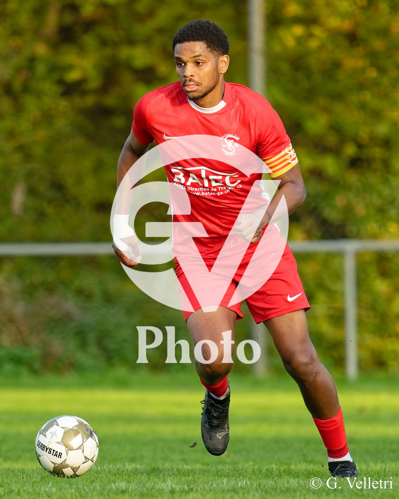 DZ9_1571 | Velletri Photo