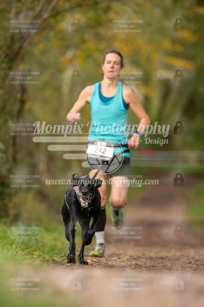 TSB_2023_E4_Canicross-18 | PayLife