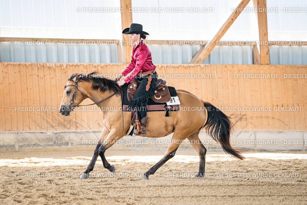 DSC03343 | Pferdegrafie