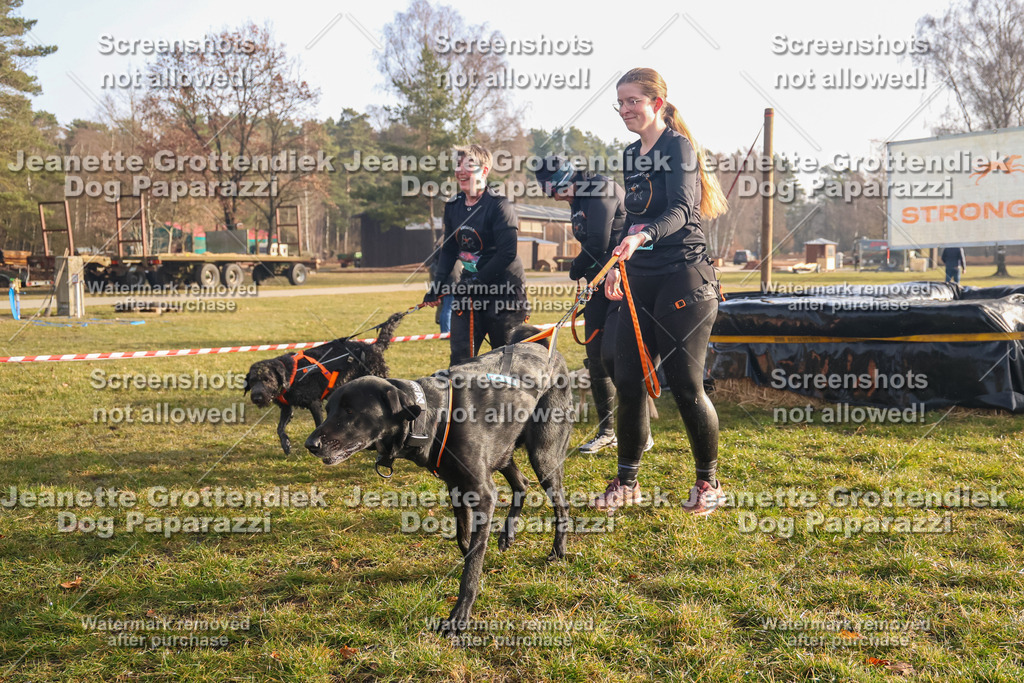 Dog Paparazzi - SD North 0326 900930-174 | Dog Paparazzi Jeanette Grottendiek Fotografie & Videografie - Realisiert mit Pictrs.com
