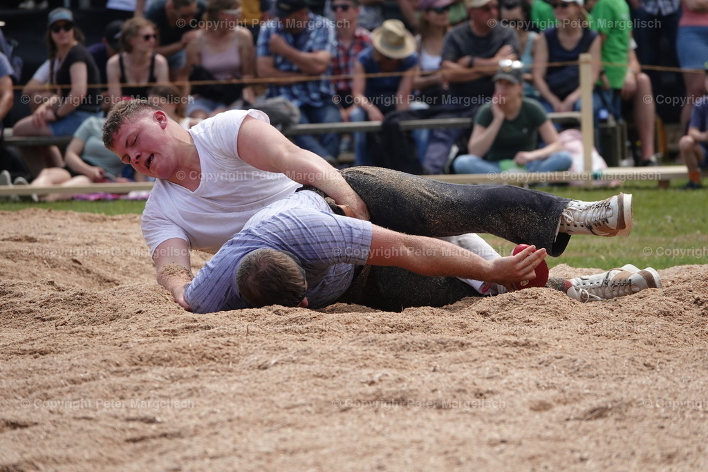 DSC04603 | Schwingen - Realisiert mit Pictrs.com