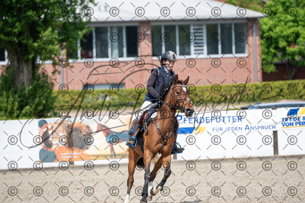 KPT_2963 | andre_photographic