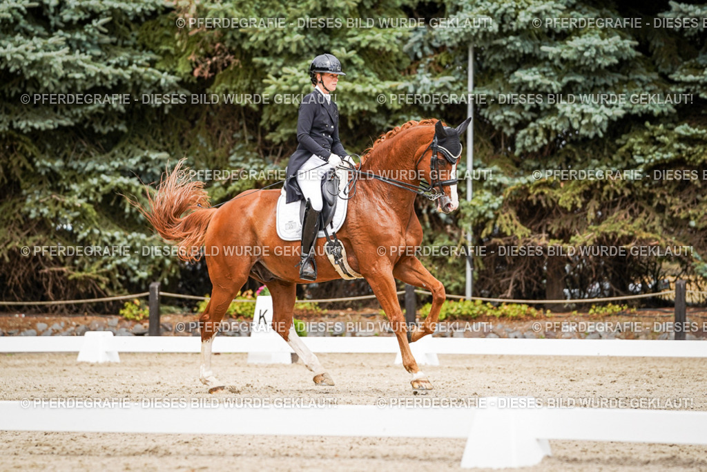 DSC05666 | Pferdegrafie