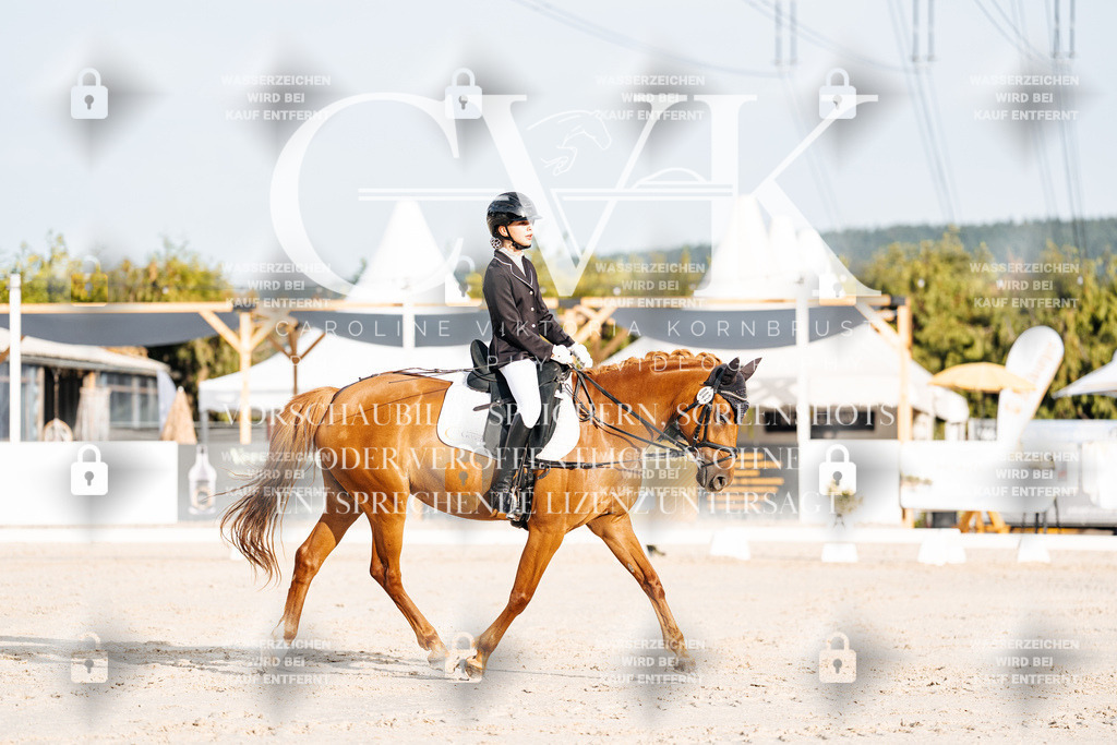 CK903781 | Turnierfotografie Pferdefotografie Trier Rheinland-Pfalz Pferdesport Reitsport Tierfotografie Sportfotografie Pferdevideo Pferdevideografie Equestrianvideography equestrianphotography  - Realisiert mit Pictrs.com