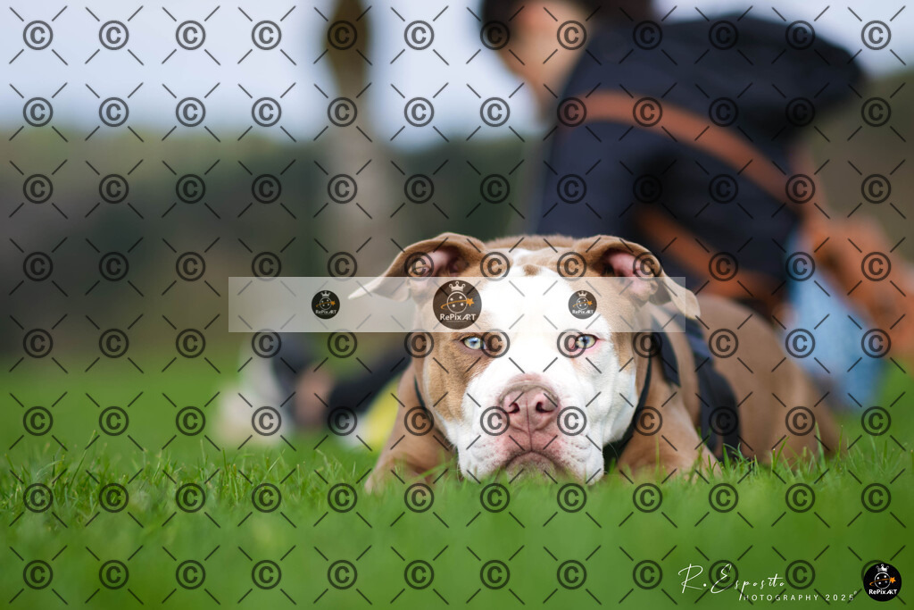 20250412_Manu-Charly_038 | Sport und Naturfotografie von Roberto Esposito zeigt echte Momente Bewegung und die Schönheit der Natur. Ausdrucksstarke Bilder schaffen Emotionen.