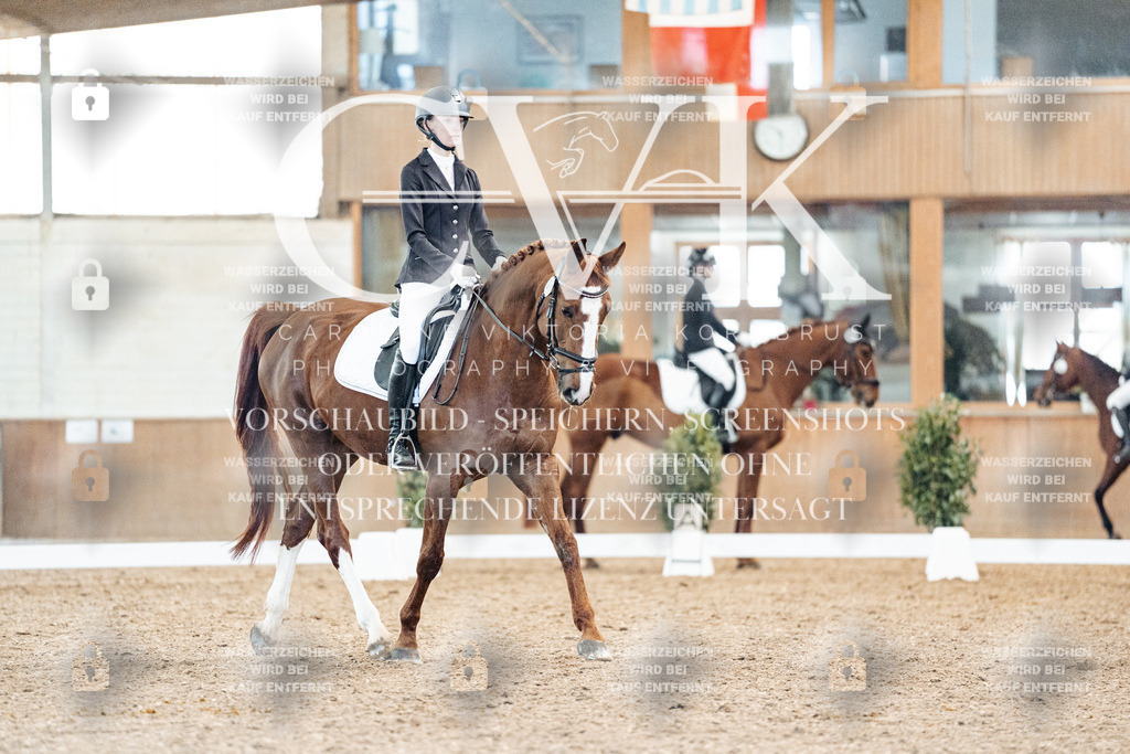 CK908535 | Turnierfotografie Pferdefotografie Trier Rheinland-Pfalz Pferdesport Reitsport Tierfotografie Sportfotografie Pferdevideo Pferdevideografie Equestrianvideography equestrianphotography  - Realisiert mit Pictrs.com