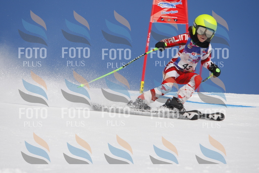 _W1G0615 | holidayphoto