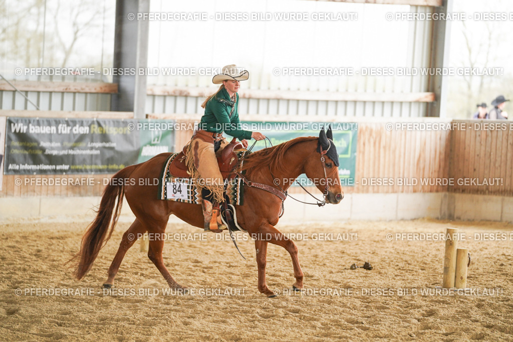 DSC04615 | Pferdegrafie