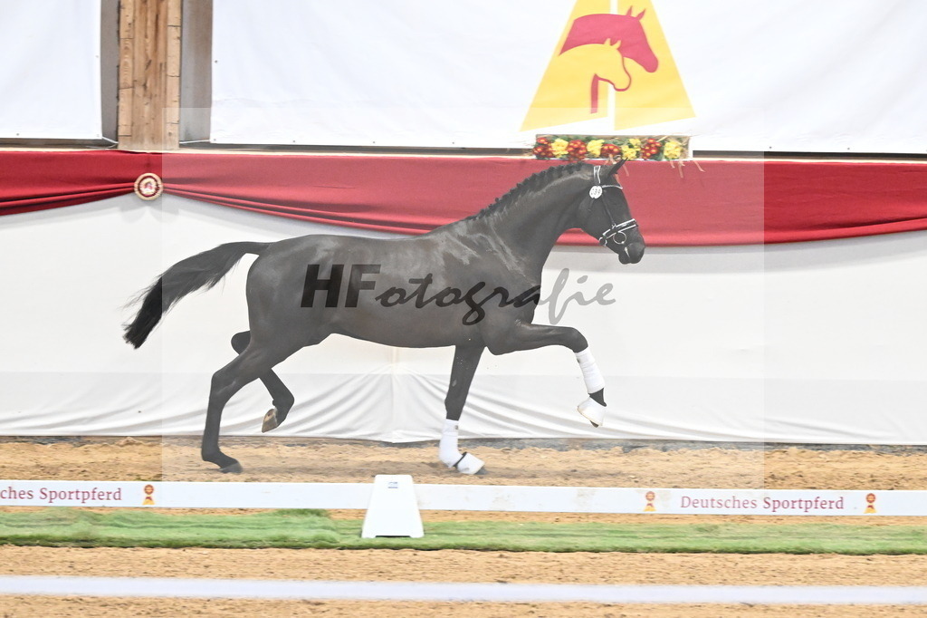 Kat.-Nr. 39 v. De Chirico_Schadock_3260290 | hf-fotografie - Realisiert mit Pictrs.com
