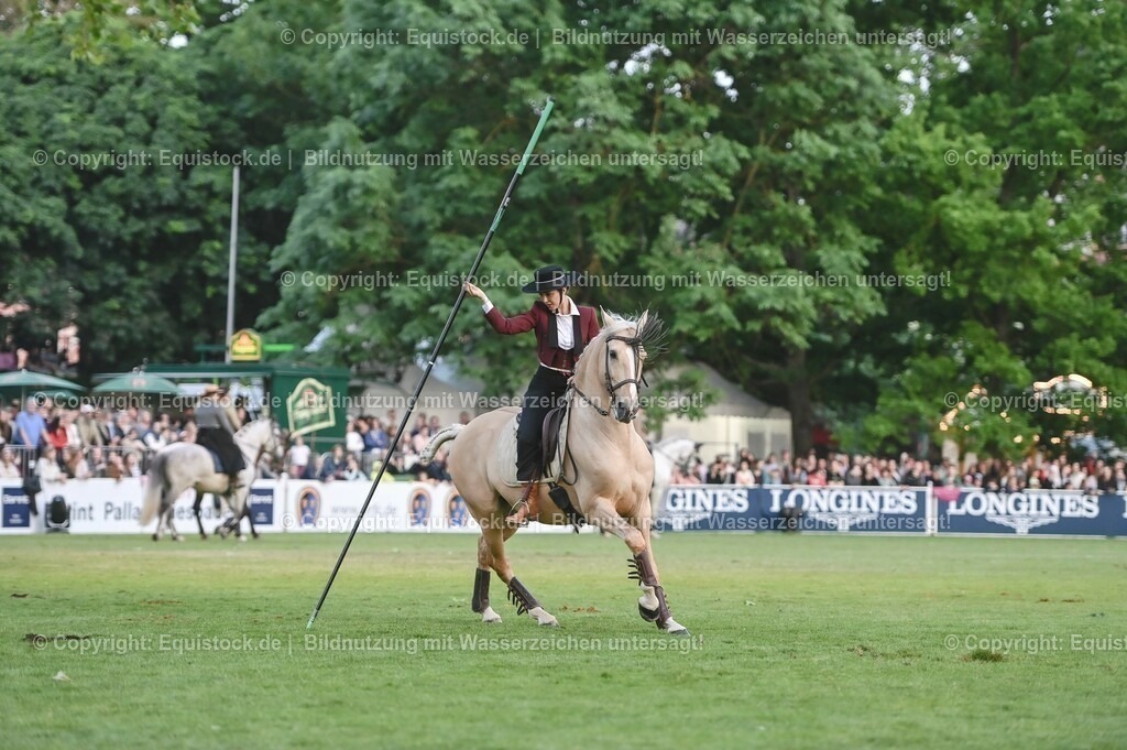 20230526_Pferdenacht_0707 | equistock