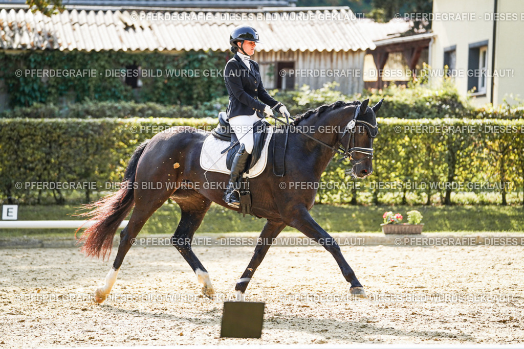 DSC08301 | Pferdegrafie