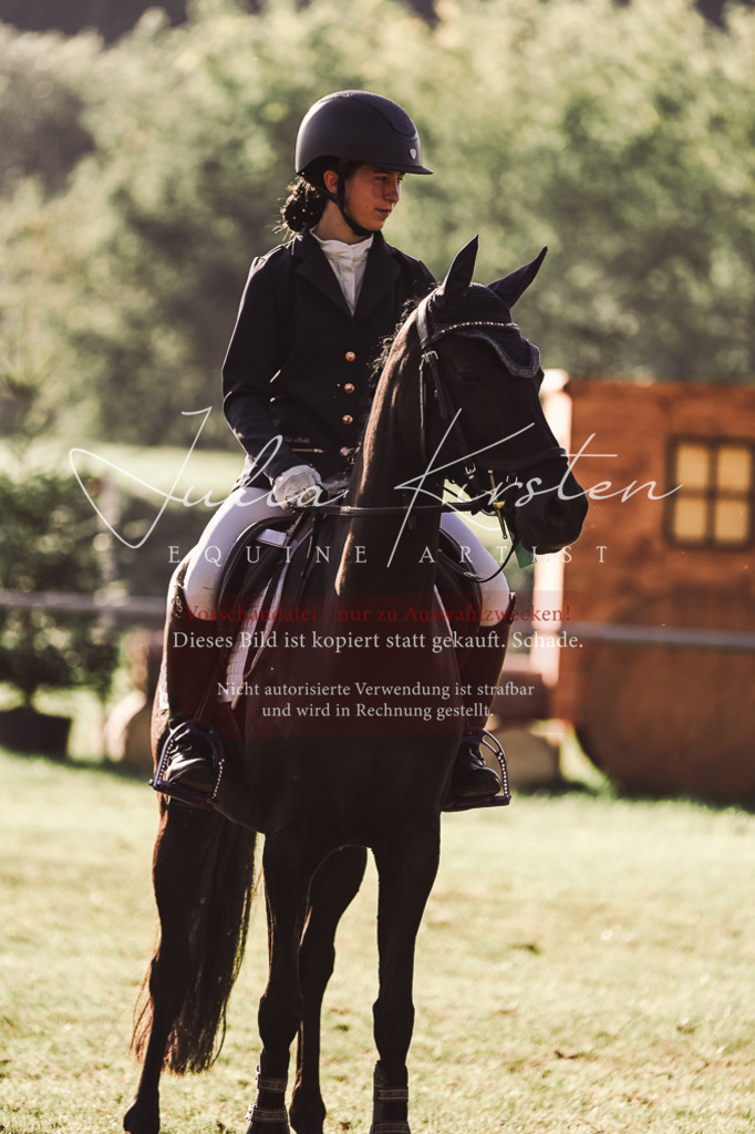 DSC_4621 | Pferde- und Turnierfotografie in Westsachsen. Pferdeportraits, Auftragszeichnungen und intuitive Kunst.