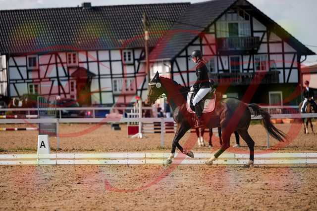 2026_10_03_Siefer-Hof_132356_Z63_86110867 | Professionelle Reitsport-, Turnier- und Eventfotografie von Robert Broda. Galerien mit ausgewählten und bearbeiteten Bildern direkt online ansehen und bestellen.