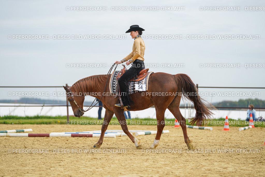 DSC03322 | Pferdegrafie