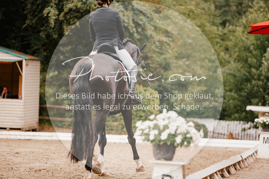 3I6A7703 | Stimmungsvolle Portraits und Reitsportfotografie im Ruhrgebiet und im Münsterland.

Pferdefotografie, Hundefotografie, Tierfotografie, Reportagen, Portraits von Tier und Mensch, Turnierfotografie in Bochum, Recklinghausen, Marl, Haltern am See, Dülmen.. - Realisiert mit Pictrs.com