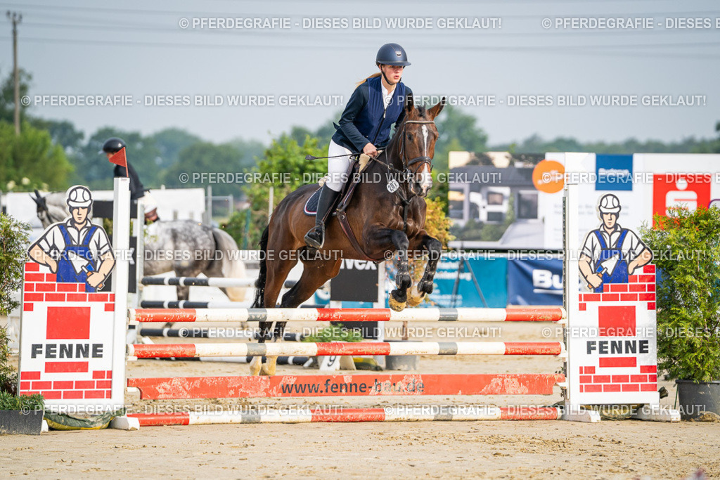 DSC08286 | Pferdegrafie