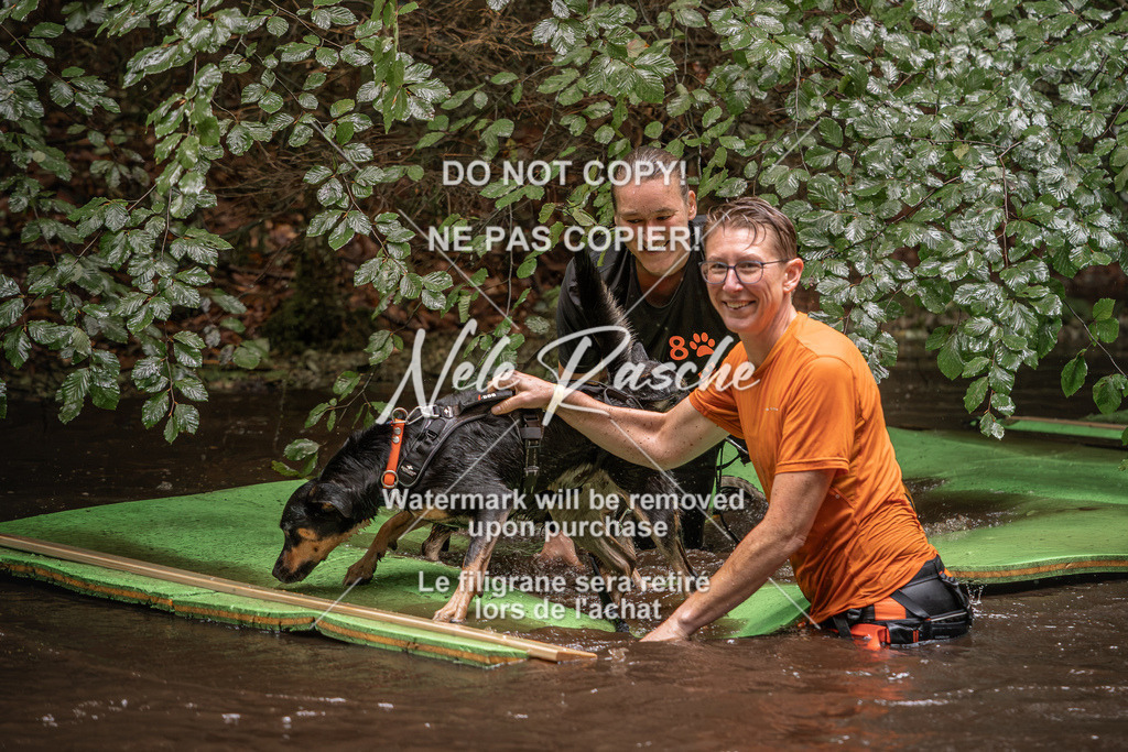 nelerasche_Wingst_Sa1330-1400_137 | nelerasche