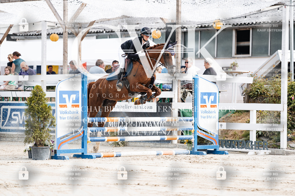 CK908883 | Turnierfotografie Pferdefotografie Trier Rheinland-Pfalz Pferdesport Reitsport Tierfotografie Sportfotografie Pferdevideo Pferdevideografie Equestrianvideography equestrianphotography  - Realisiert mit Pictrs.com
