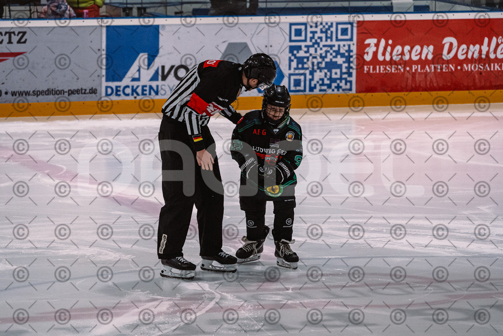 Alligators_vs_Bayreuth_16_01_2026-14 | Höchstadt Alligators Fotogalerie: Eishockey-Action aus Franken. Professionelle Spielfotos, Portraits & Stadionbilder zum Download. Jetzt entdecken! - Realisiert mit Pictrs.com