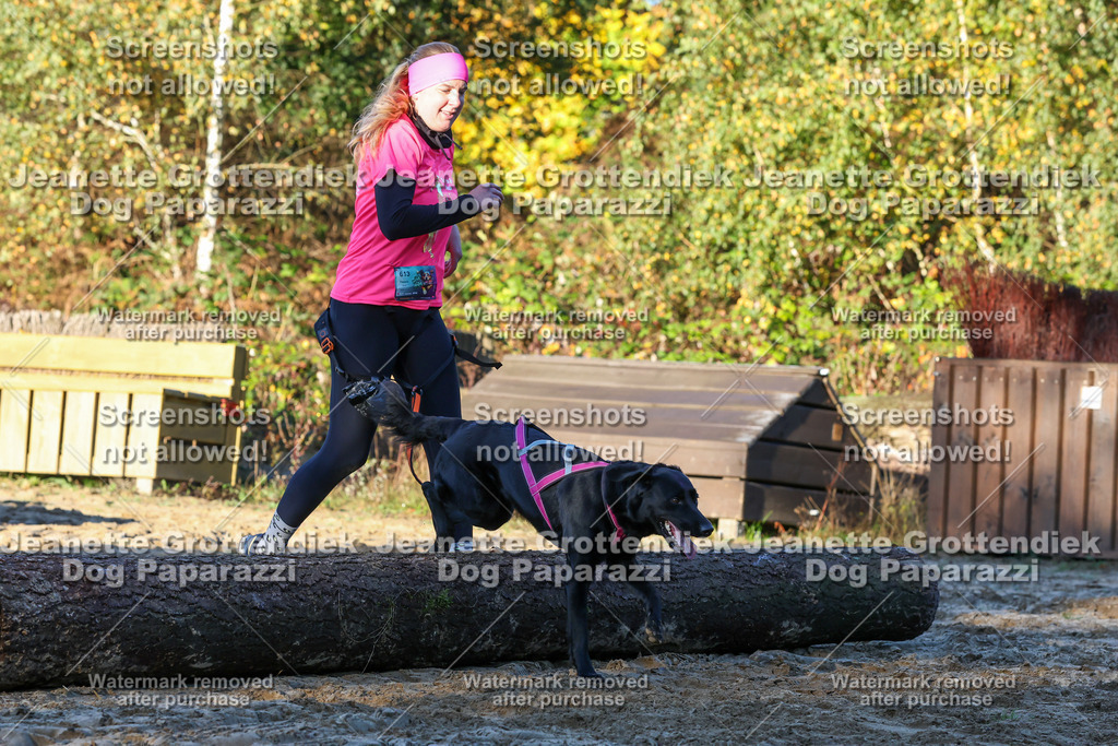 Dog Paparazzi - Strongdog 10-25-844 | Dog Paparazzi Jeanette Grottendiek Fotografie & Videografie - Realisiert mit Pictrs.com