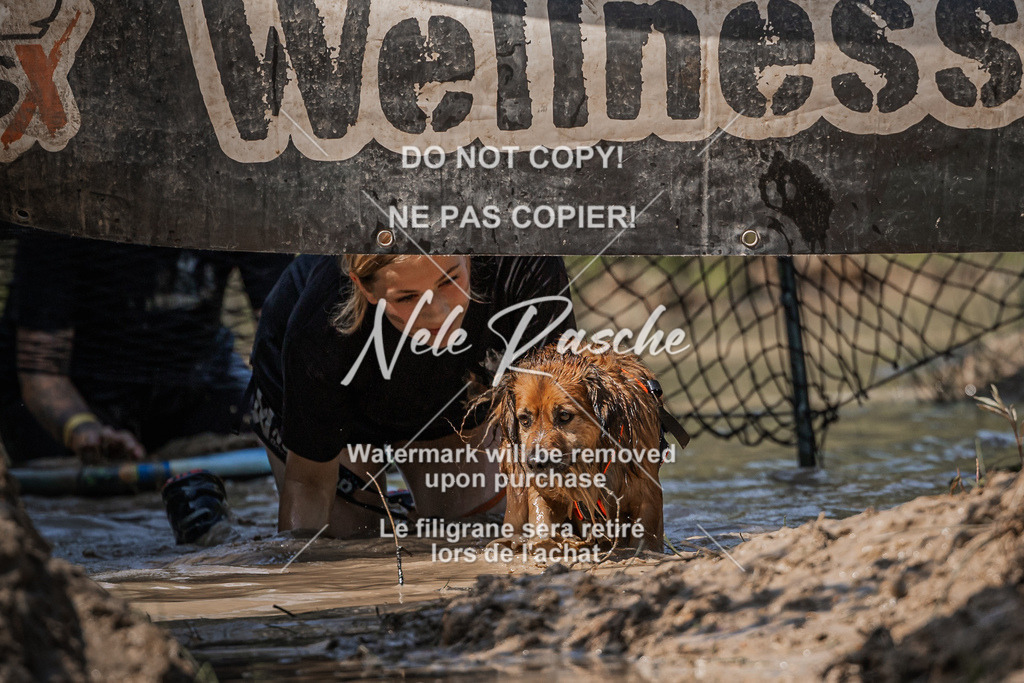nelerasche_Hoope2026_Sa1500-1530_73 | nelerasche