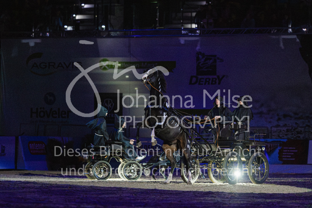 241102_Oldenburg_Show-309 | Deine schönsten Turniermomente als professionelle Fotos! Entdecke hochwertige Pferdesport-Fotografie im Online-Shop. Jetzt Fotos finden & bestellen!