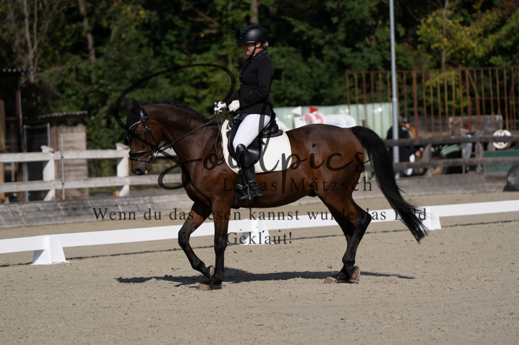 A7V06925 | Turnier/Reitfotograf