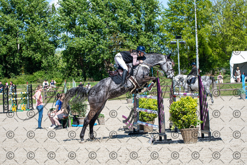 KPT_1048 | andre_photographic