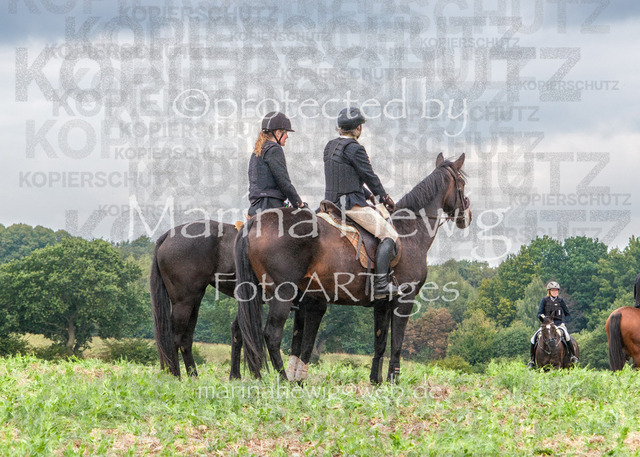 Jagd Perdoel_MarinaHewigDSCF3837 | Fotografie, FotoArt, PferdesportArt, Pferdesportfotografie, Landschaftsfotografie, Reisefotografie, Reise, Pferde - Realisiert mit Pictrs.com