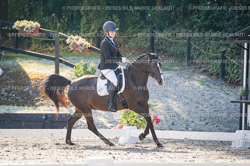 DSC08934 | Pferdegrafie