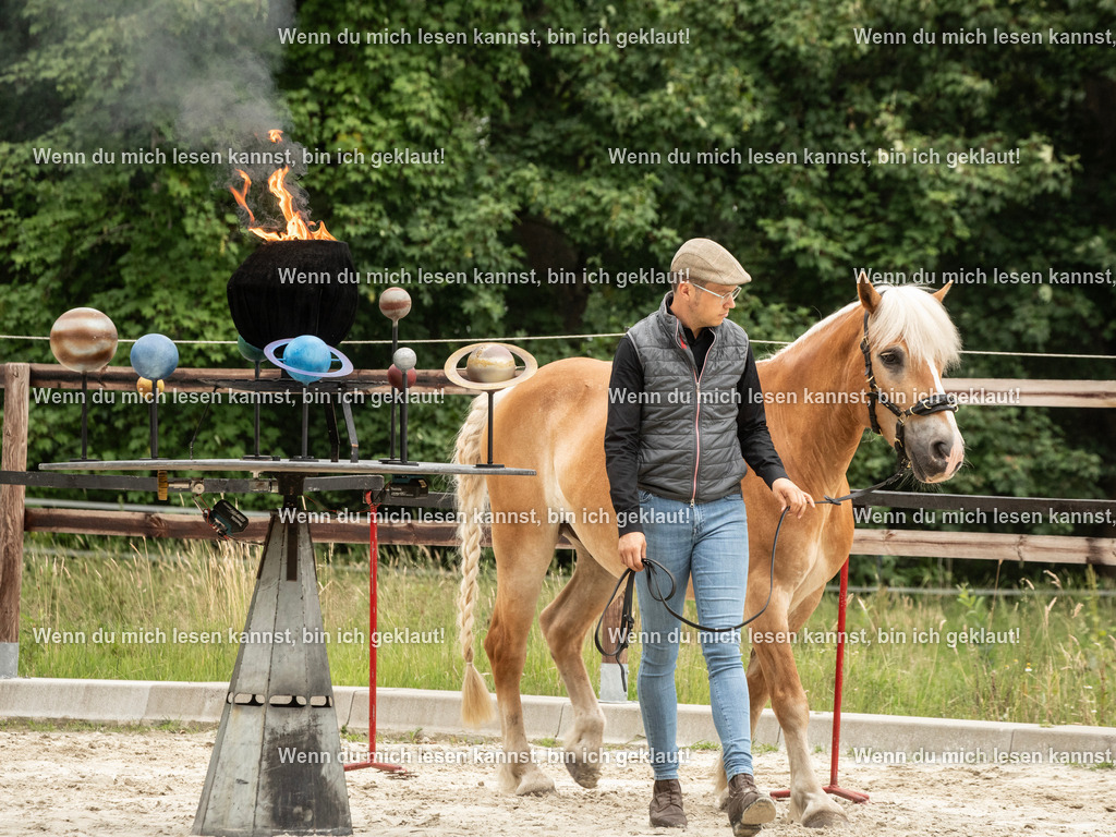 598A6636 | photographylinaismer - Realisiert mit Pictrs.com