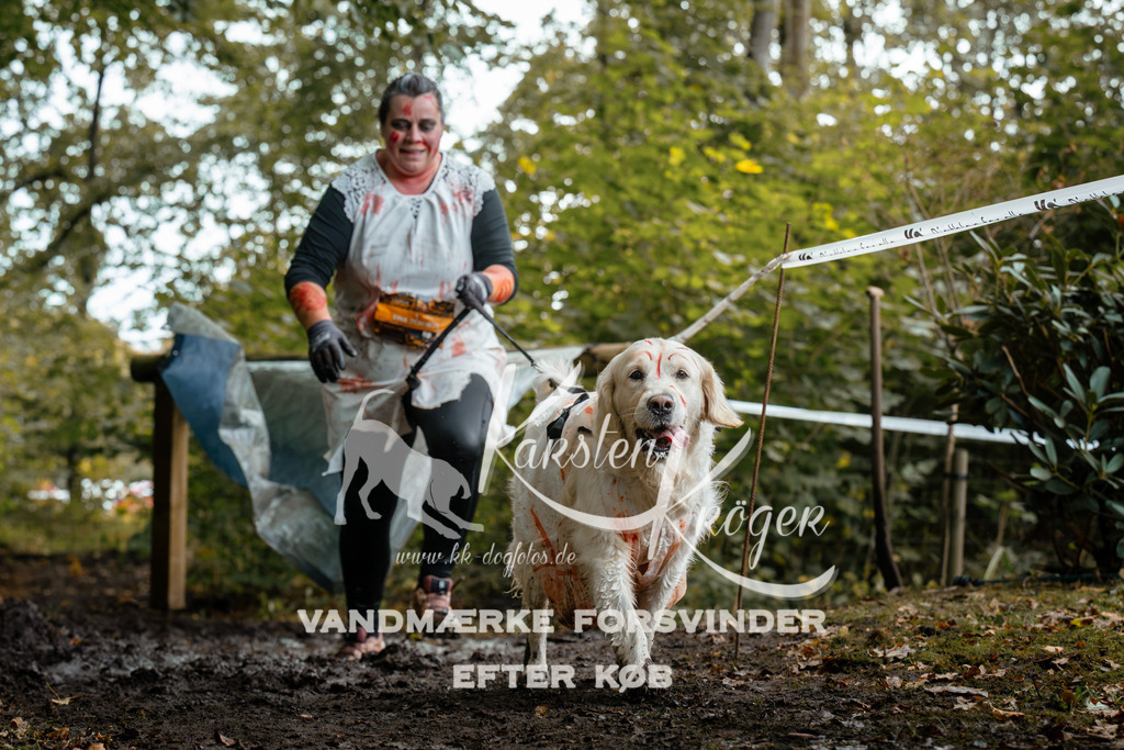 1428DZ6_2505Z6 | kk-dogfotos