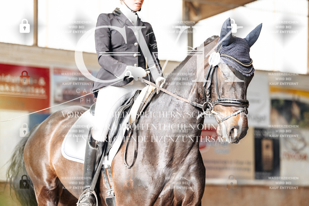 CK901827 | Turnierfotografie Pferdefotografie Trier Rheinland-Pfalz Pferdesport Reitsport Tierfotografie Sportfotografie Pferdevideo Pferdevideografie Equestrianvideography equestrianphotography  - Realisiert mit Pictrs.com